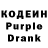 Кодеиновый сироп Lean Purple Drank Writer Book